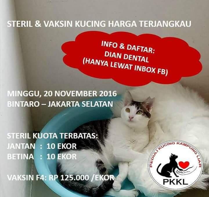 Jadwal Informasi Vaksin - Steril Kucing