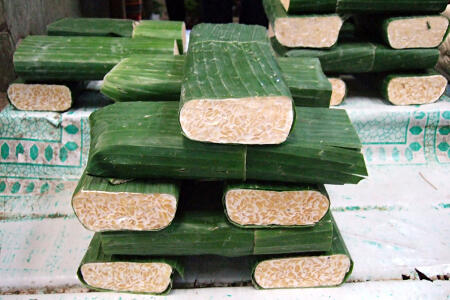 Tempe Diseminarkan di Wageningen Belanda
