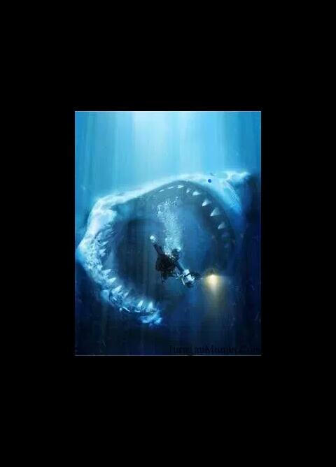 Fakta Unik dan Mengerikan Ikan Hiu Megalodon