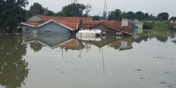 Akibat Banjir, Petani Ini rela Menyelam untuk memanen padinya.