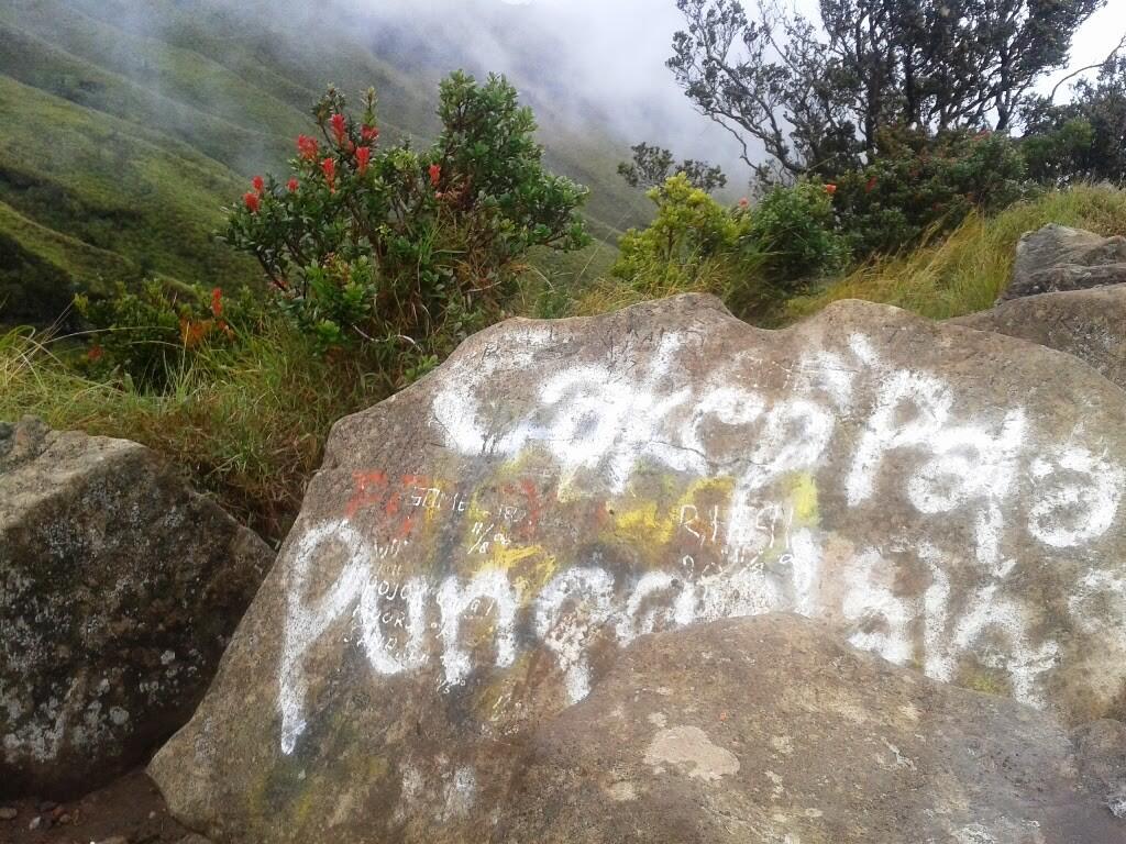 🌱 MENDAKI GUNUNG , ANTARA CINTA ALAM DAN TANGGUNGJAWAB🌱