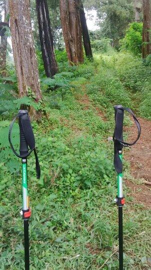 &#91;TREKKING POLE&#93; Naturehike 4 Nodes Outer Locked 