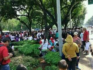 Cuma Share aja, ada Nasbung ama Duitnya juga gan, taman yang tersakiti,.