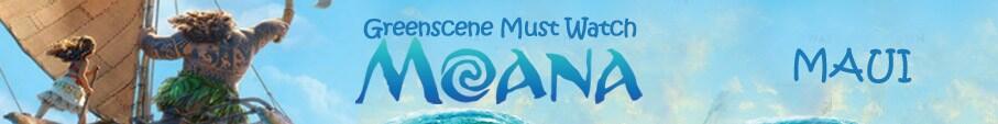 All About 'Moana', Film Animasi Terbaru Dari Disney yang Harus Kamu Tonton!