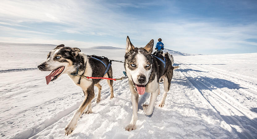 Menjelajah Arctic Polar di Fjallraven Polar 2017