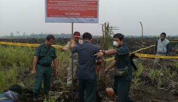 Ternyata Ini Penyebab Lahan Dibakar buat Sawit…