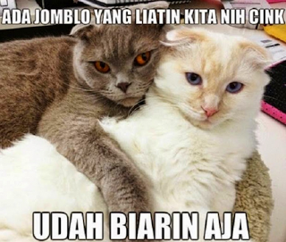 29 Meme kata-kata gokil andai binatang bisa ngomong, bikin ngakak gan!