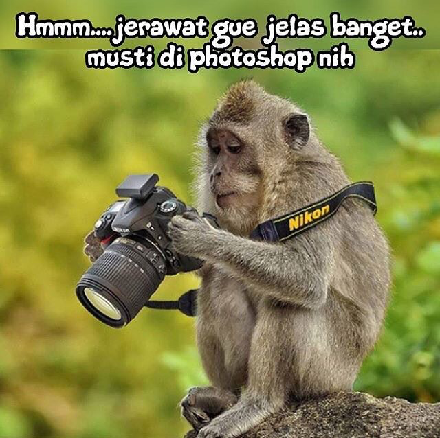 29 Meme kata-kata gokil andai binatang bisa ngomong, bikin ngakak gan!