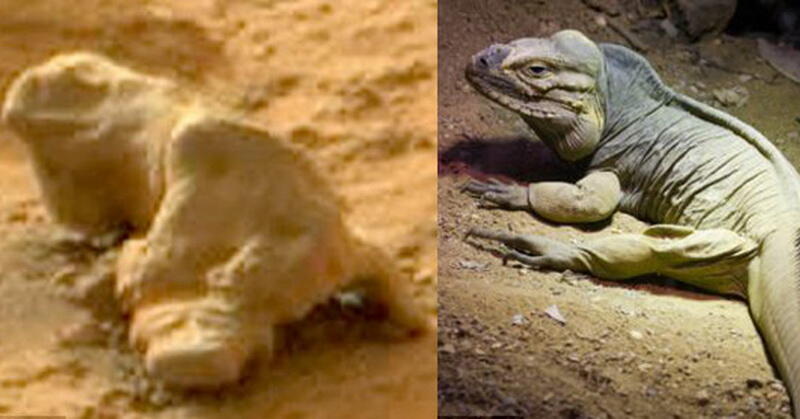 Empat Temuan Objek Aneh di Mars