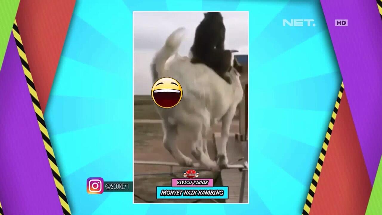 Setelah Sapi, Kambing pun Disensor