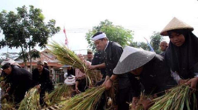 Kewajiban Petani Purwakarta Usai Seluruh Lahannya Diasuransikan