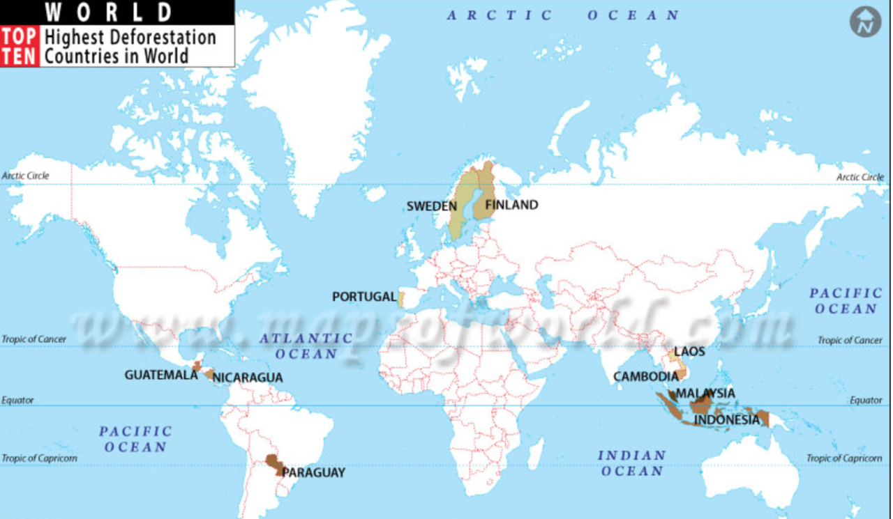 Ini Prestasi Indonesia yang Mendunia, sayang Tertutupi Dinamika Politik