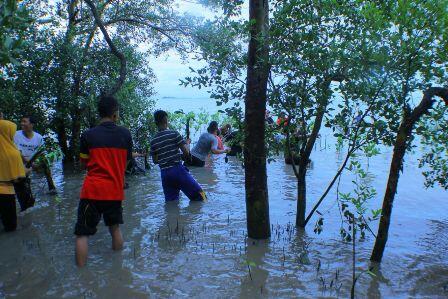 &#91;FR&#93; SAAT LEBAH BERCINTA DENGAN BADAK BERCULA SATU | KEMAH BAKTI KAREBAN WIL.3