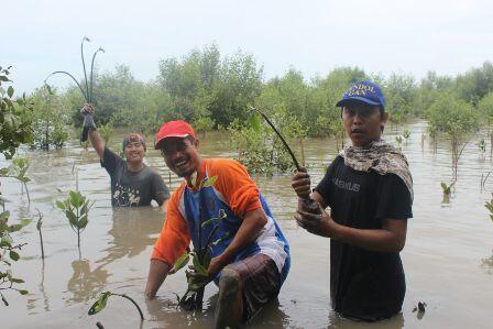 &#91;FR&#93; SAAT LEBAH BERCINTA DENGAN BADAK BERCULA SATU | KEMAH BAKTI KAREBAN WIL.3