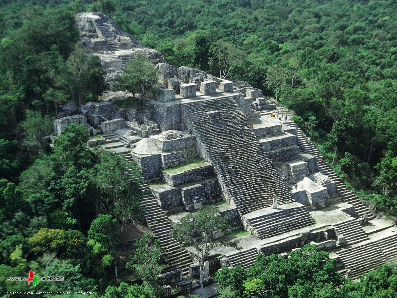 Город копан америки. Пирамиды Калакмуль Мексика. Древний город Майя Калакмуль. Пирамида в Паленке Мексика. Ла Данта пирамида Майя.