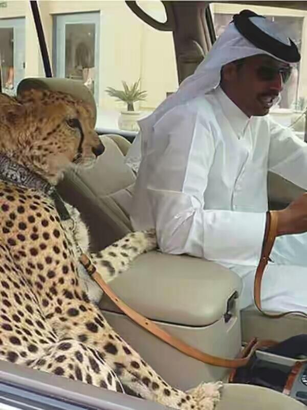 Gaya Hidup Mewah Orang Dubai
