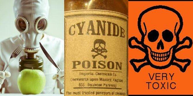 5 racun ini ternyata bisa jadi obat penyakit jantung dan kanker