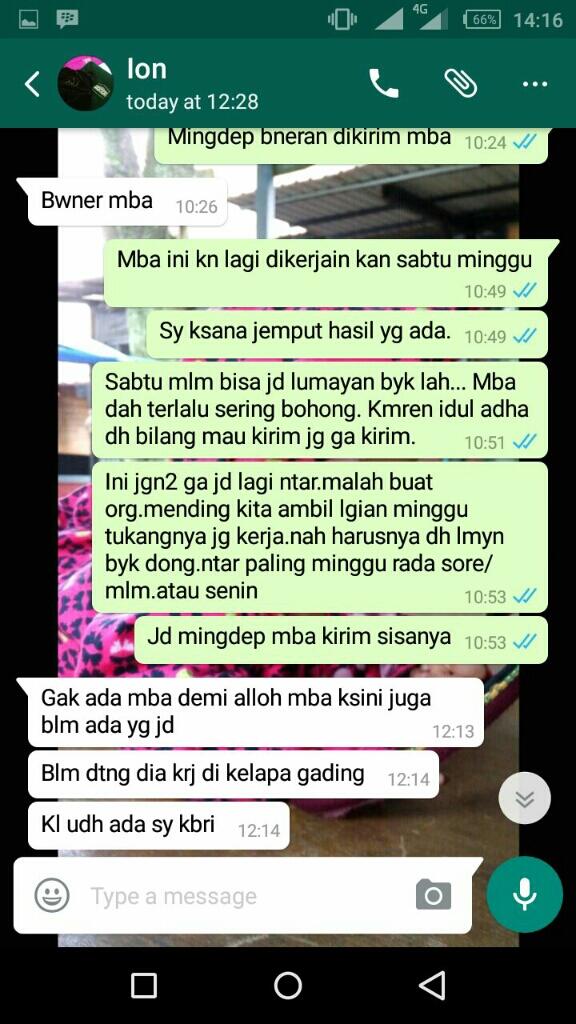 SUrat Terbuka untuk UNION SELINA pemilik @sajadahtebal