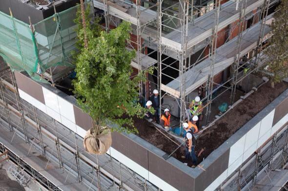 Melihat Hutan Vertikal Yang Menakjubkan di Milan, Italia