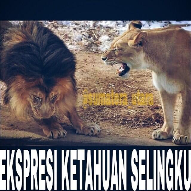 25 Meme kocak soal selingkuh bikin ngakak, awas jangan ditiru lho ya