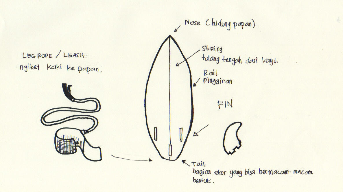 Step by step belajar surfing