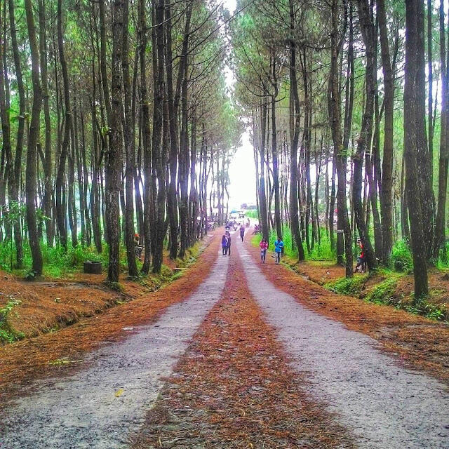 6 Wisata Magelang diantaranya baru naik daun Untuk Liburan Tahun Baru