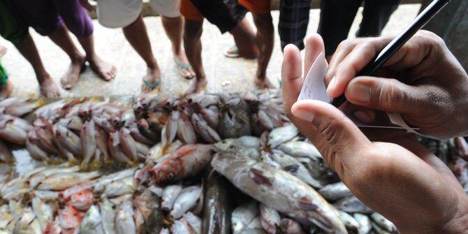 Akademisi puji kebijakan sektor maritim pemerintahan Jokowi-JK
