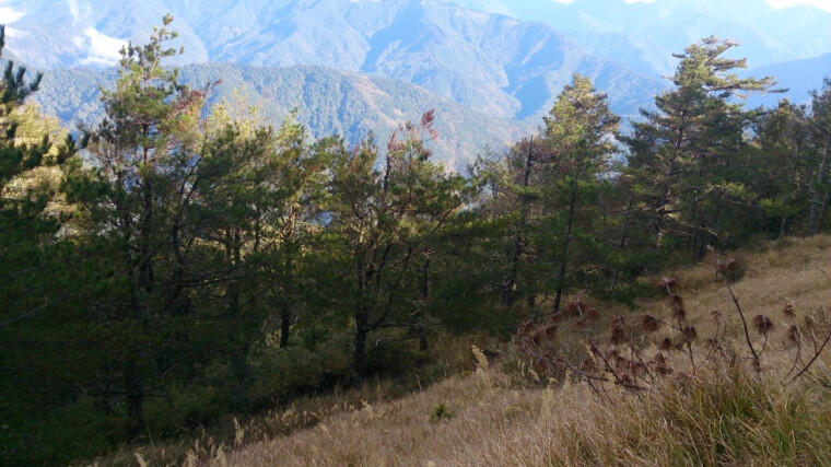 &#91;Catper&#93; The Beauty of XueShan (Snow Mountain) Taiwan, Winter Summit 2016 Jan 1-3