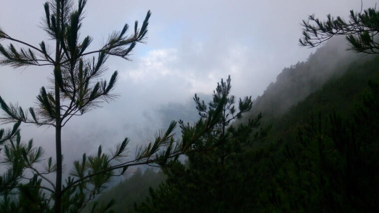 &#91;Catper&#93; Snow Mountain / Xueshan Taiwan 3886 mdpl