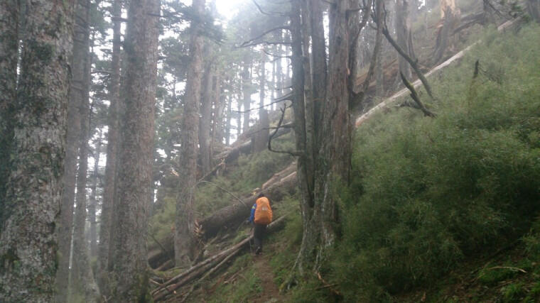 &#91;Catper&#93; Snow Mountain / Xueshan Taiwan 3886 mdpl