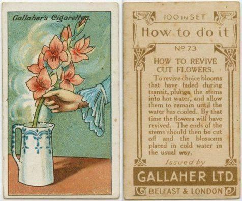 tips Dari Awal Tahun 1900-an, Bukti Orang Dulu banyak Akal