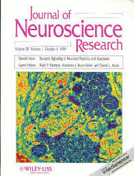 Menarik Napas Panjang Dapat Meningkatkan Kemampuan Ingatan Anda