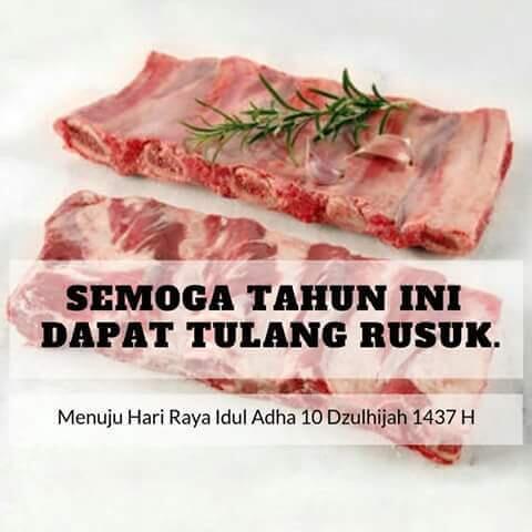 Kumpulan Meme Sepanjang Tahun 2016