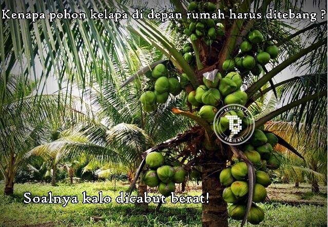 12 Meme tebak-tebakan kocak, awas jawabannya bikin ngakak!