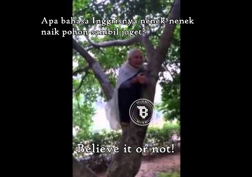 12 Meme tebak tebakan kocak awas jawabannya bikin ngakak