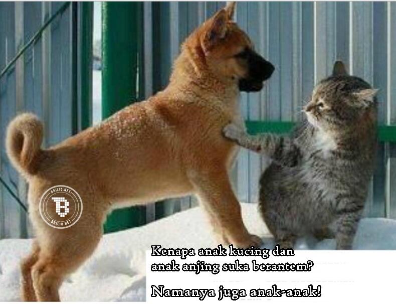 12 Meme tebak-tebakan kocak, awas jawabannya bikin ngakak!