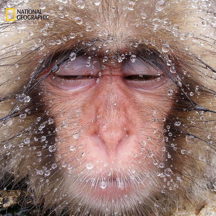 Wow, Inilah Kumpulan Foto Terbaik Sepanjang Tahun 2016