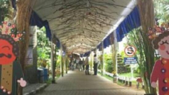 Malam Misa Gereja Katedral Jakarta Suasana Rasa Natal Budaya Jakarta