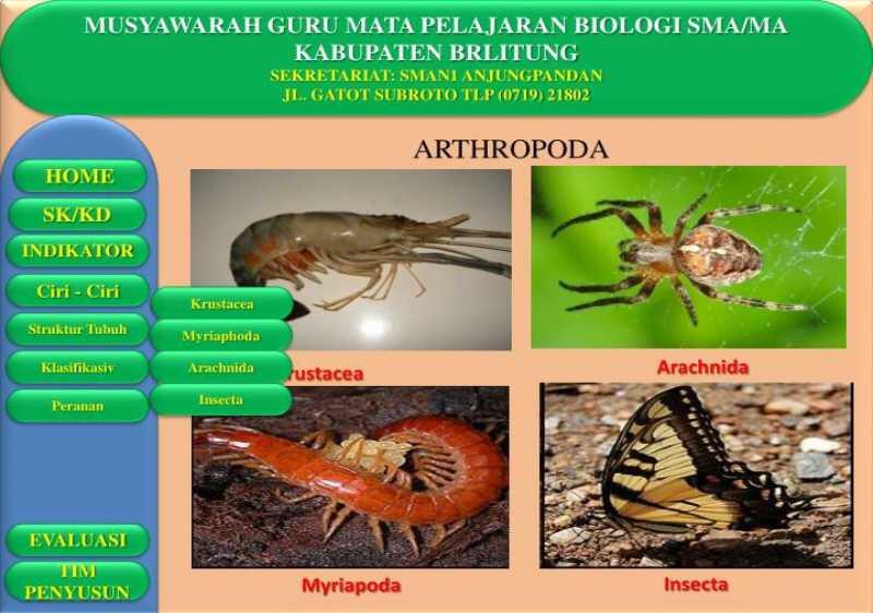 Manfaat Ilmu Sekolah di Kehidupan Nyata