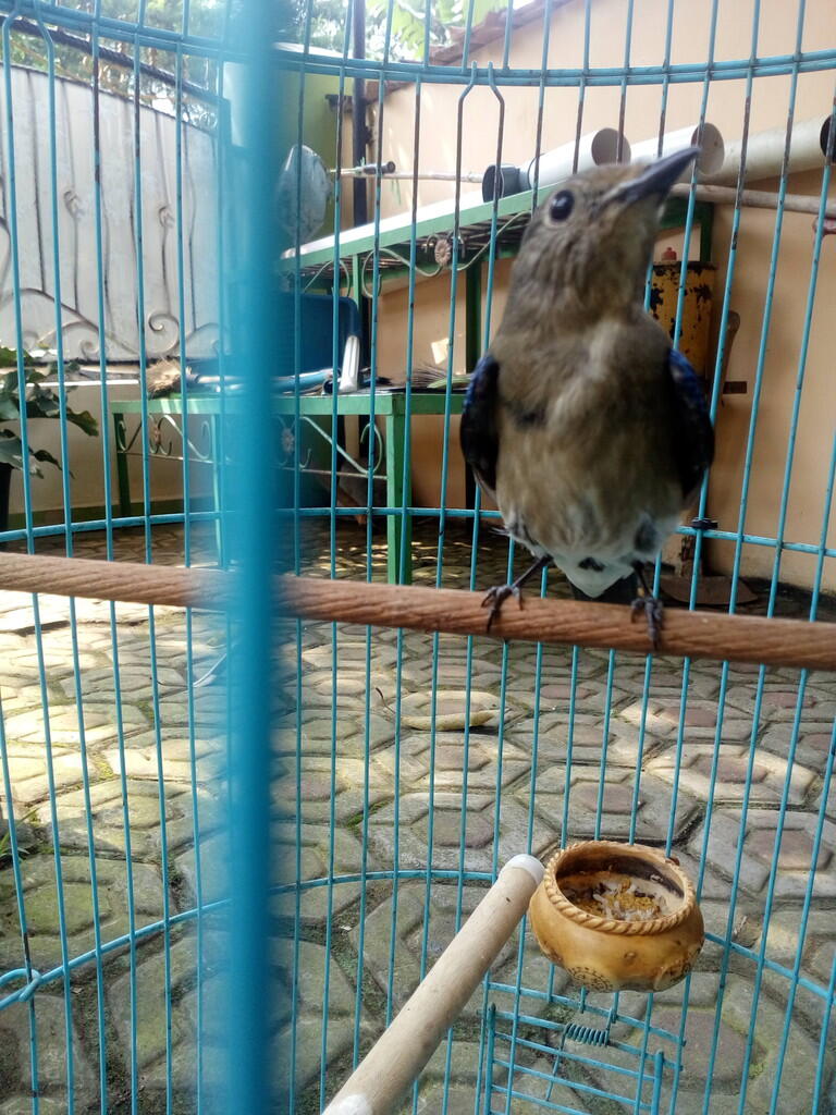 Mohon Pencerahan Kaskus