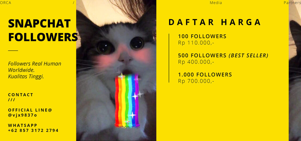 Follower Snapchat