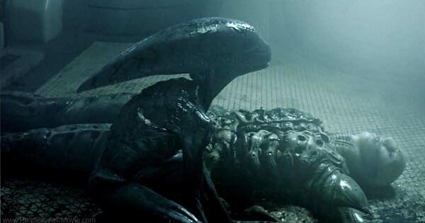 Mengenal Makhluk Fiksi Xenomorph (Alien)*CEK GAN*