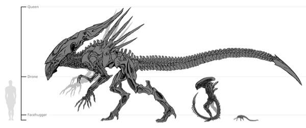 Mengenal Makhluk Fiksi Xenomorph (Alien)*CEK GAN*