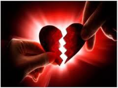 Getah Dari Pohon Mangga