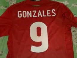 Getah Dari Pohon Mangga