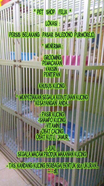 PET SHOP &quot; FELIX &quot; belakang pasar Baledono Purworejo JAWA - TENGAH.