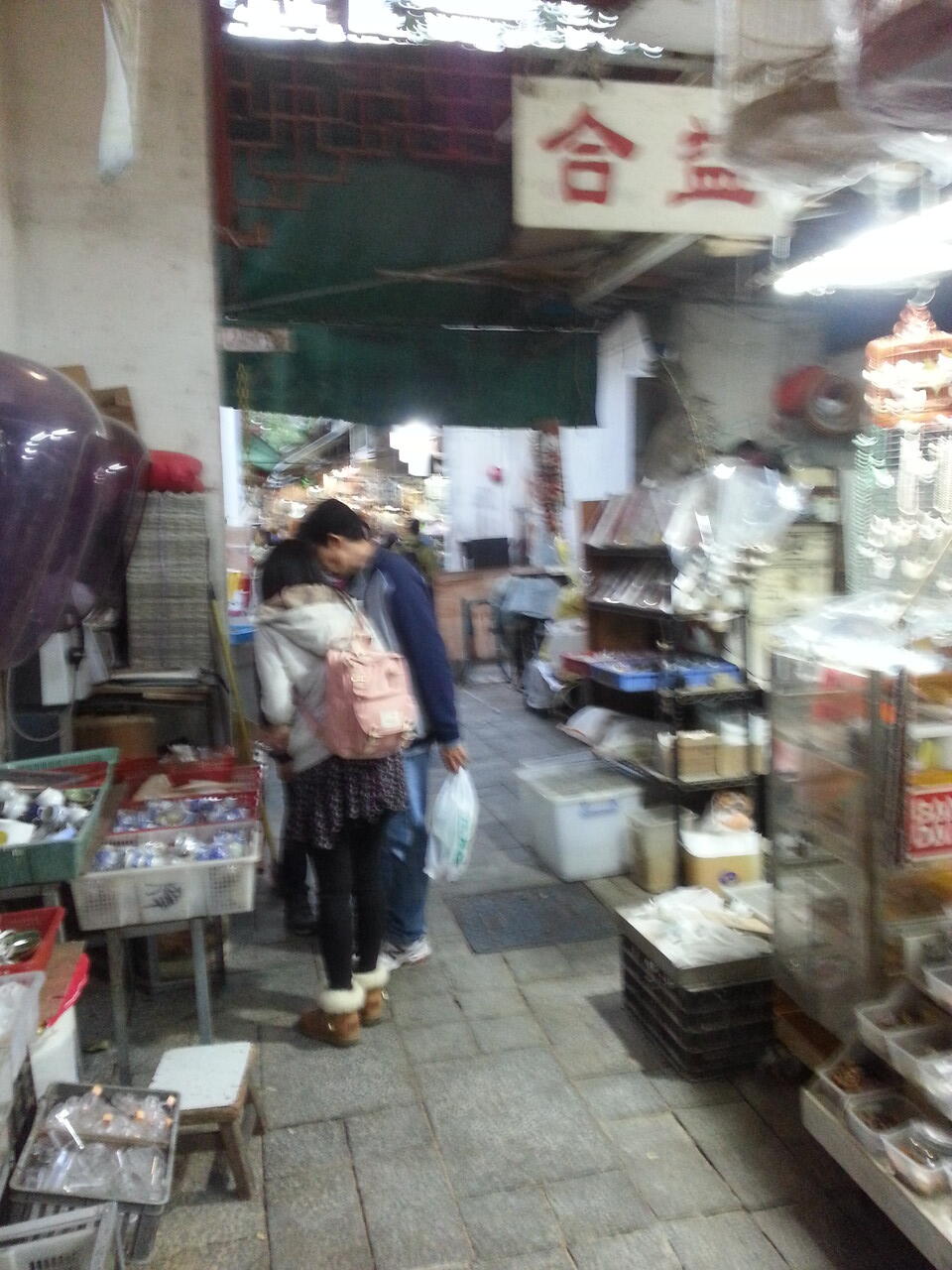 pasar burung di hong kong,在香港的鳥街介紹 ,di post ada foto