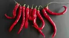Cabe Rawit Merah Makin Pedas, Rp 100 Ribu!