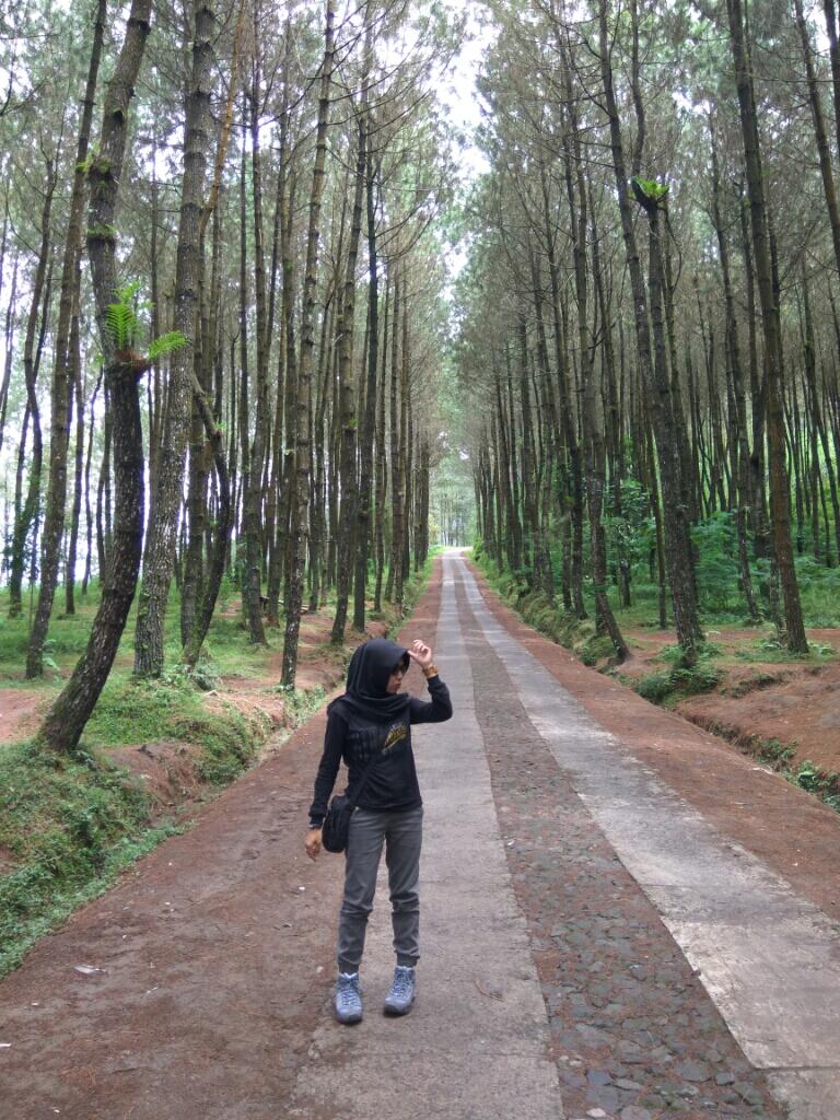 Gunung Merbabu via Grenden, Desember 2016