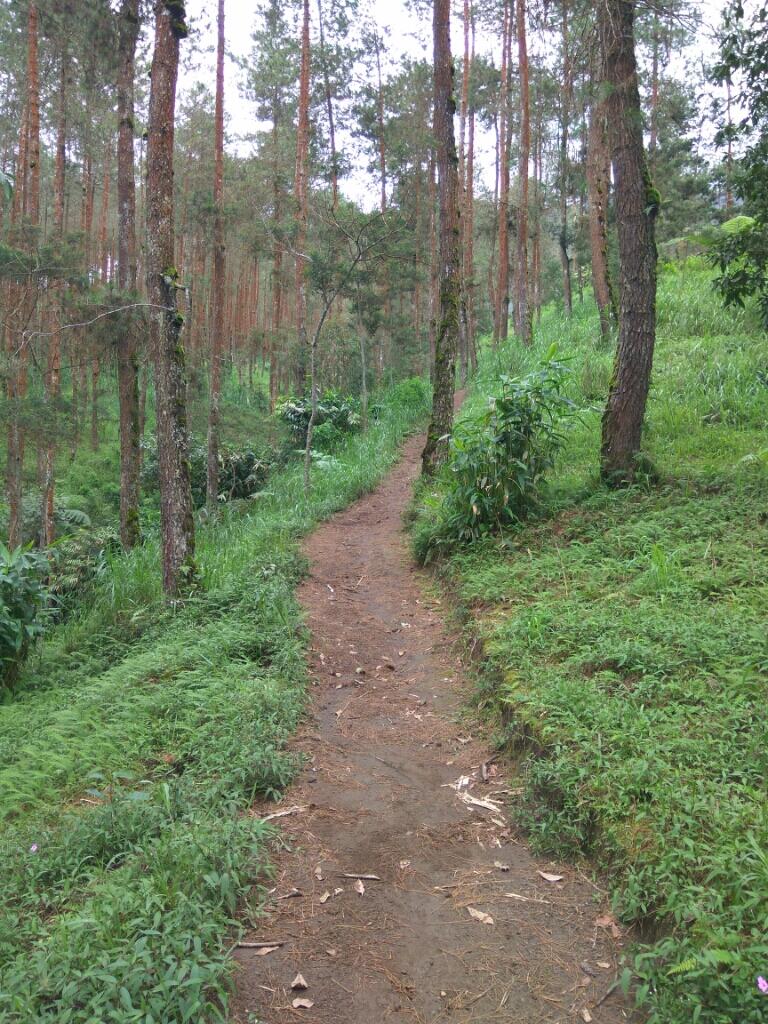 Gunung Merbabu via Grenden, Desember 2016